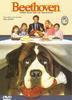 Beethoven, uno m�s de la familia